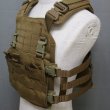 画像5: 【ORDNANCE（オードナンス）沖縄】プレートキャリア QASM仕様　カラー：コヨーテ 　サイズ：M　〈軍放出品　未使用品〉 (5)